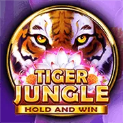 Thông báo cập nhật bảo mật kingbet86pro
